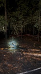 Einsatz Waldbrand bei Neubäu am See