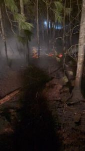 Einsatz Waldbrand bei Neubäu am See