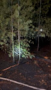 Einsatz Waldbrand bei Neubäu am See