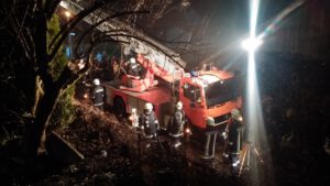 Scheunenbrand Obernried am 23.01.2015