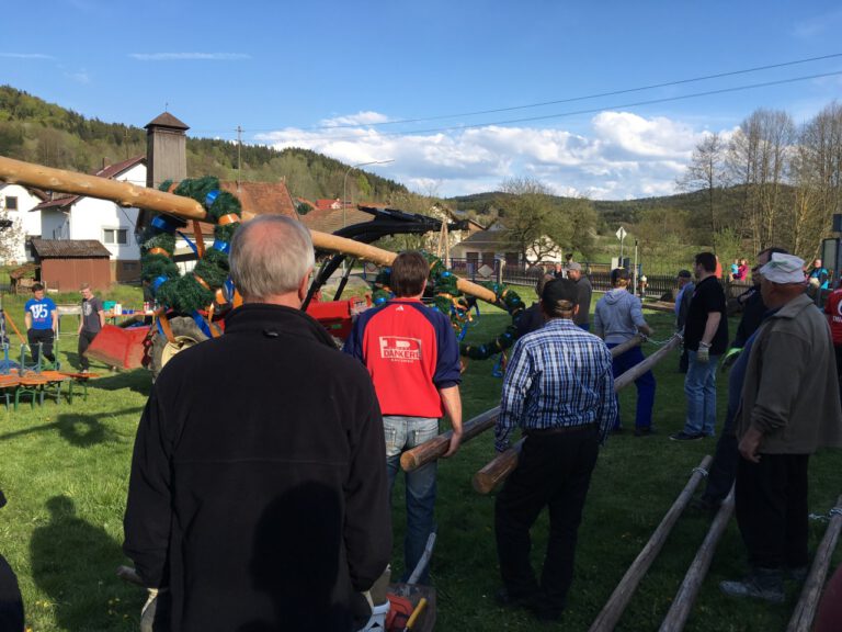 Maibaum 2016