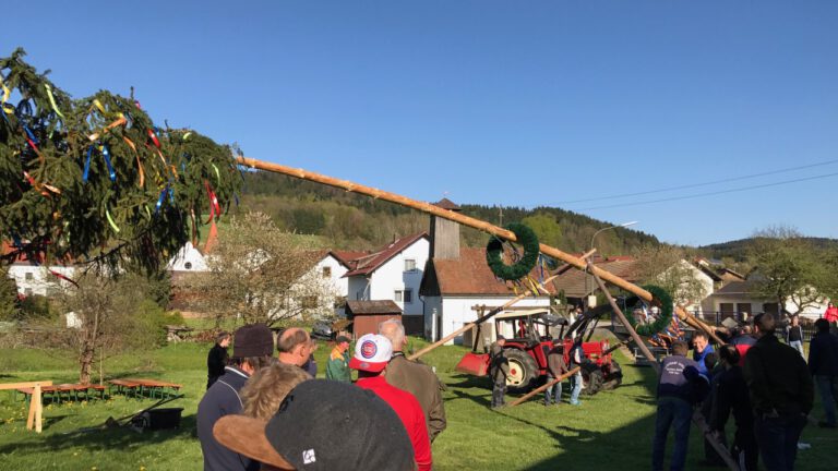 Maibaumaufstellen 2017