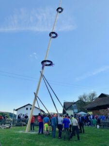 Maibaum 2018