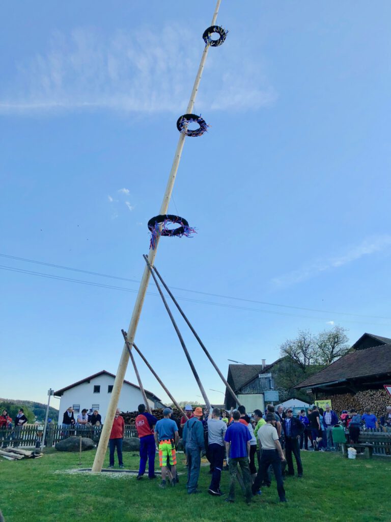 Maibaum 2018