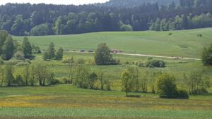 Motorradunfall bei Balbersdorf