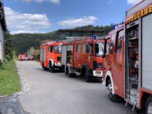 Schwelbrand in Weiher