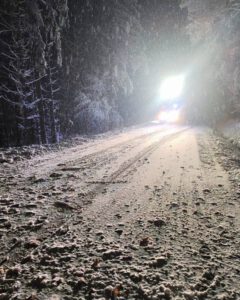 Einsatz Schneebruch
