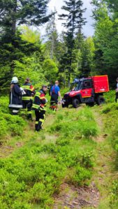 Großübung „Waldbrand Flammendes Steindl“ 2025