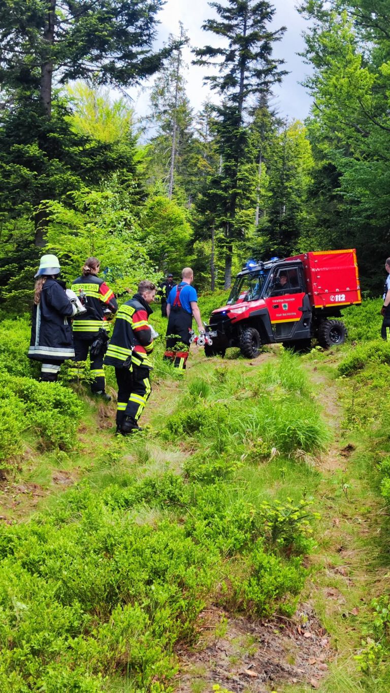 Großübung „Waldbrand Flammendes Steindl“ 2025