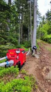 Großübung „Waldbrand Flammendes Steindl“ 2025