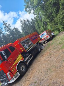 Großübung „Waldbrand Flammendes Steindl“ 2025