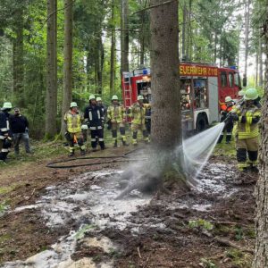 Einsatz Vegetationsbrand