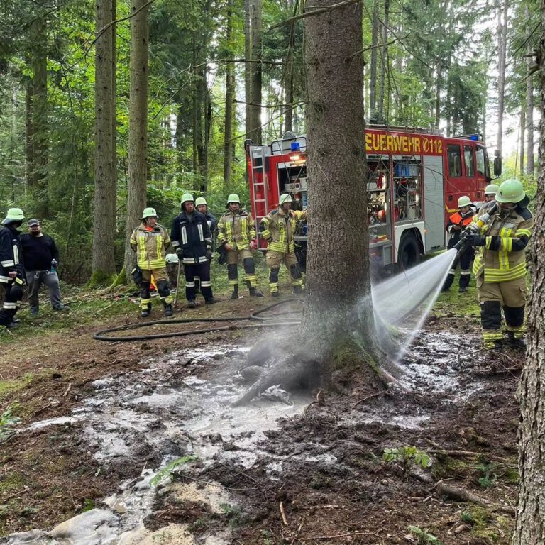 Einsatz Vegetationsbrand