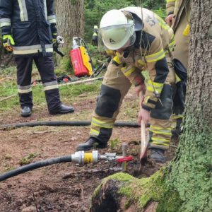 Einsatz Vegetationsbrand