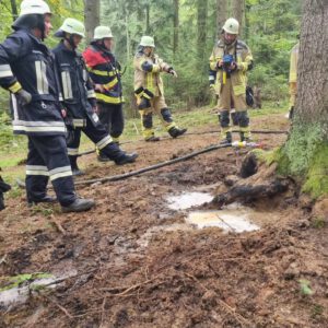 Einsatz Vegetationsbrand