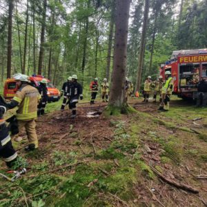Einsatz Vegetationsbrand