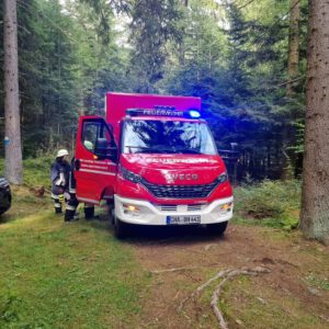 Einsatz Vegetationsbrand