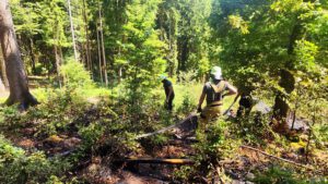 Einsatz Waldbrand zwischen Klinglmühle und Obernried
