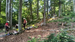 Einsatz Waldbrand zwischen Klinglmühle und Obernried
