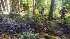 Einsatz Waldbrand zwischen Klinglmühle und Obernried