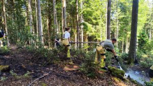 Einsatz Waldbrand zwischen Klinglmühle und Obernried
