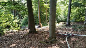 Einsatz Waldbrand zwischen Klinglmühle und Obernried