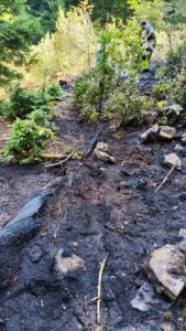 Einsatz Waldbrand zwischen Klinglmühle und Obernried