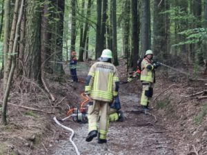 Gemeinschaftsübung (Waldbrand-Übung)